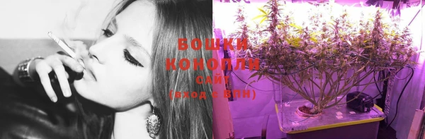 молекула духа Козловка