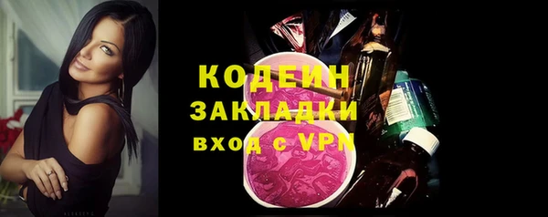 молекула духа Козловка