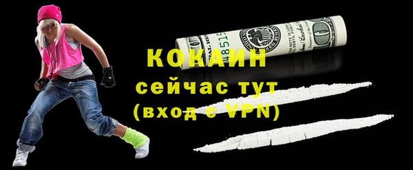 молекула духа Козловка