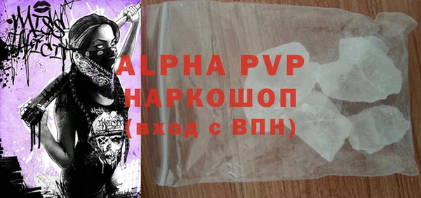 молекула духа Козловка