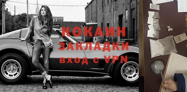 молекула духа Козловка