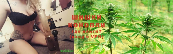 молекула духа Козловка