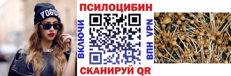 блэк спрут   Лесозаводск  Галлюциногенные грибы мухоморы  где найти  